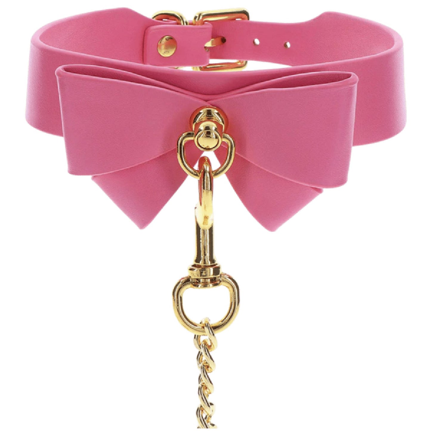 Collar and Leash (Pink)