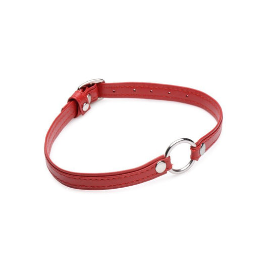 Master Series Fiery Pet Leather Choker W Silver Ring Red