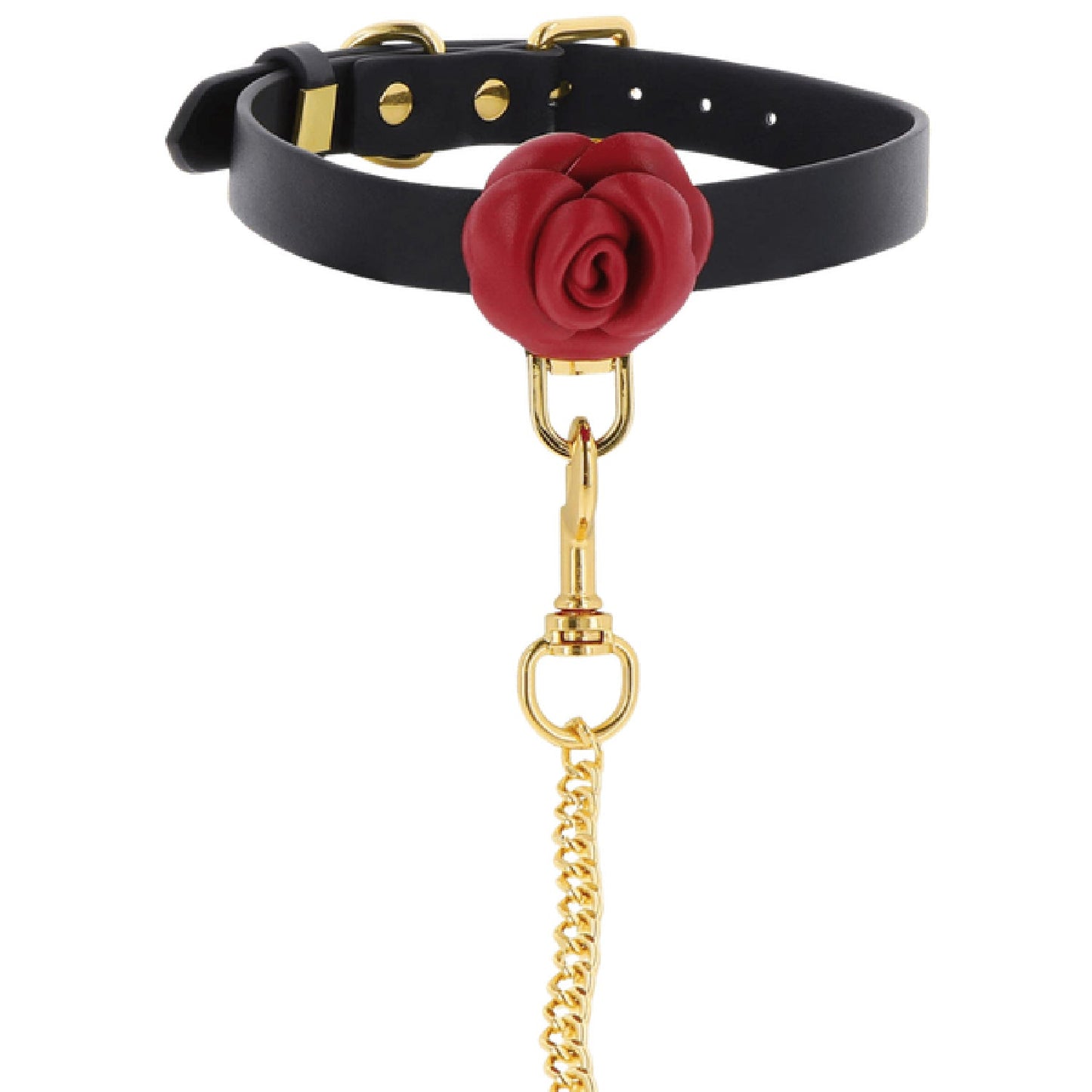 Wild Roses Collar and Leash (Black)