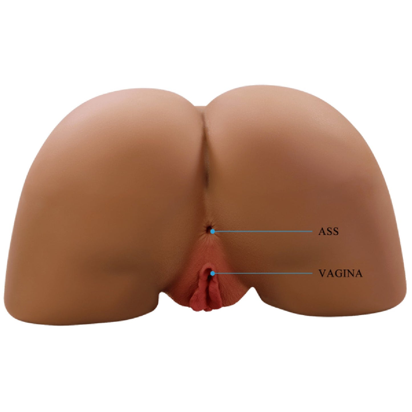 Vagina and Anal Masturbator - Sophia (Talk and Suction)