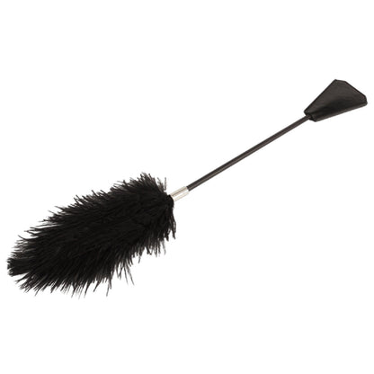 Crop with Big Feathers