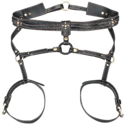 Full Body Harness